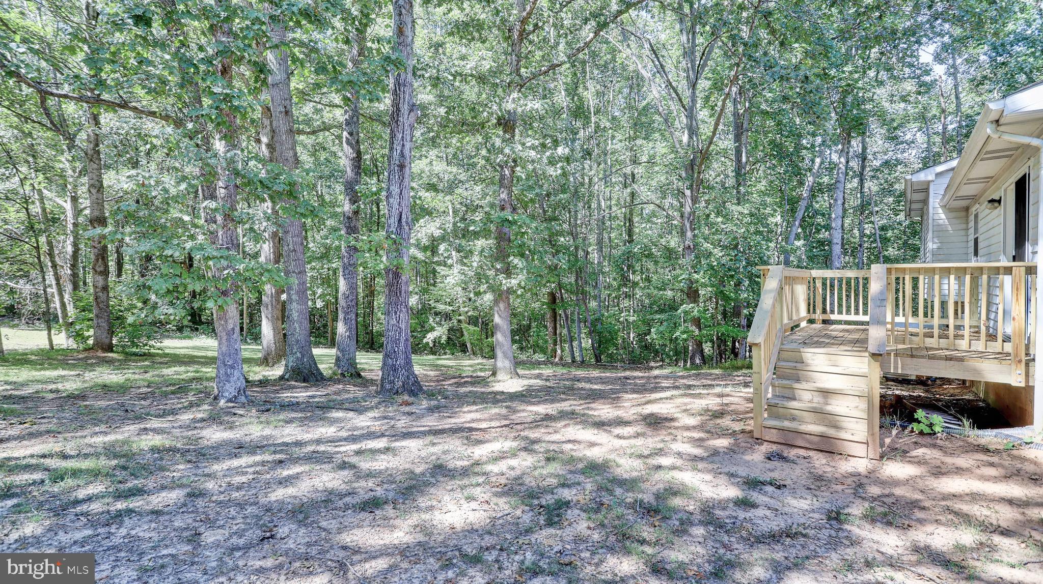 743 Tacketts Mill Road Stafford, VA 22556 - Photo 5 of 33 Entertainment deck overlooks wooded yard
