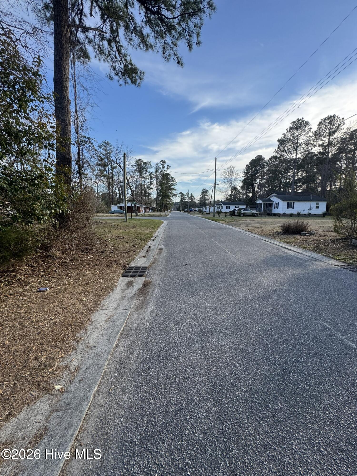 Tbd Tbd Reece Tabor City, NC 28463 - Photo 5 of 8 reece 1