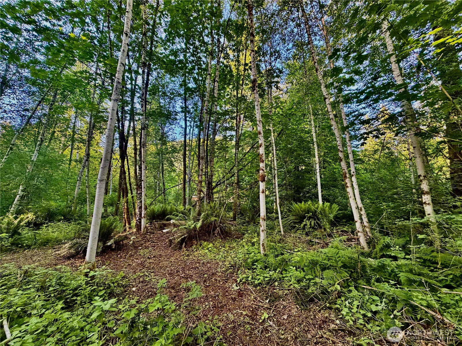 7546 Colleen Court Deming, WA 98244 - Photo 16 of 27