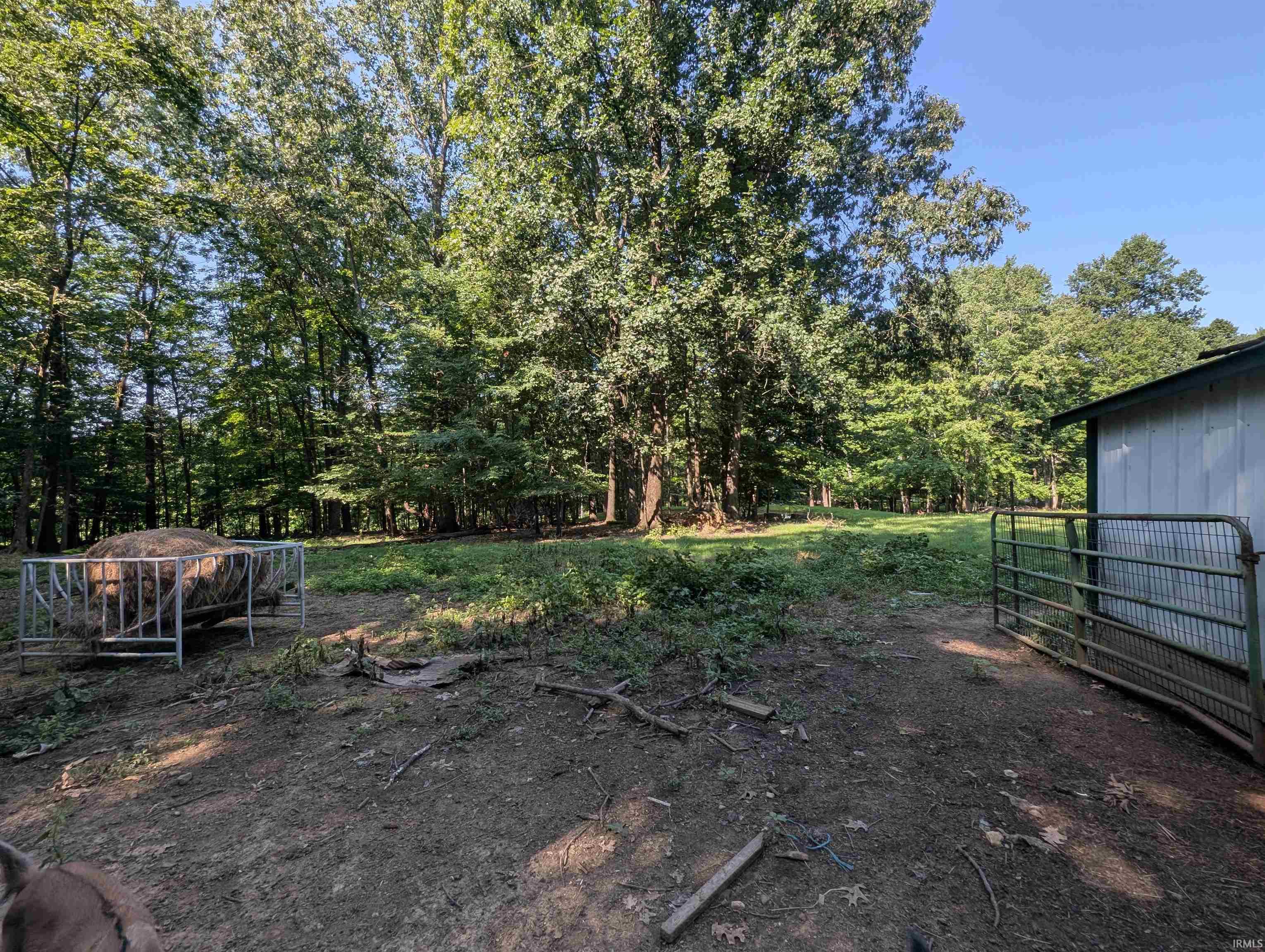 6774 Asbell Road Shoals, IN 47581 - Photo 18 of 49