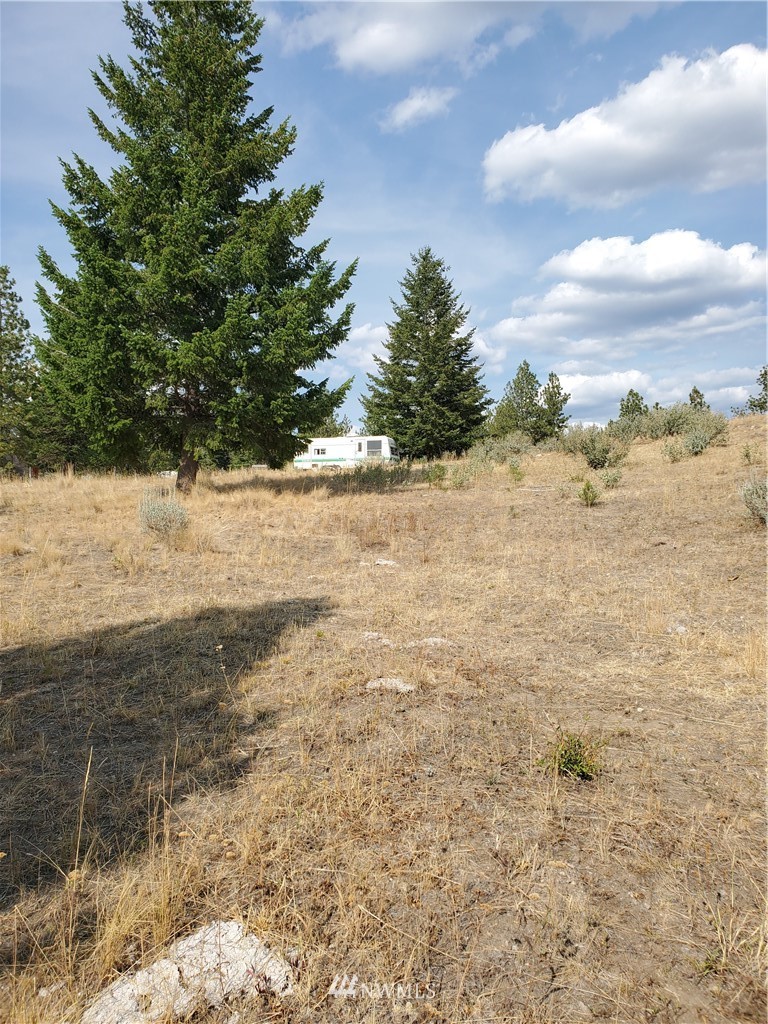 204 Turner Lake Road Tonasket, WA 98855 - Photo 1 of 6 Gallery Image 1