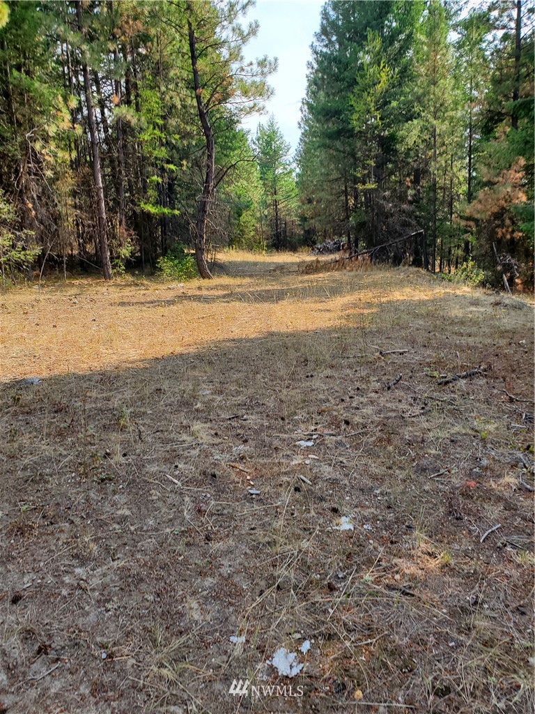 204 Turner Lake Road Tonasket, WA 98855 - Photo 2 of 6 Gallery Image 2
