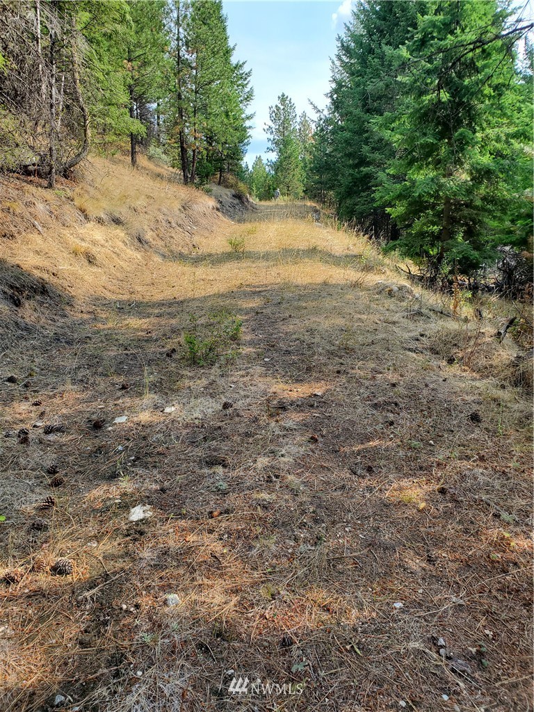 204 Turner Lake Road Tonasket, WA 98855 - Photo 3 of 6 Gallery Image 3