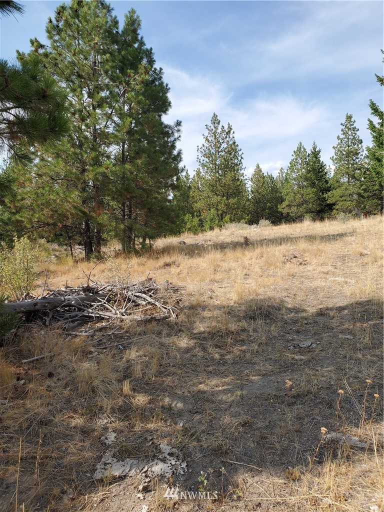 204 Turner Lake Road Tonasket, WA 98855 - Photo 4 of 6 Gallery Image 4