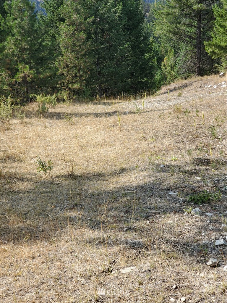 204 Turner Lake Road Tonasket, WA 98855 - Photo 6 of 6 Gallery Image 6