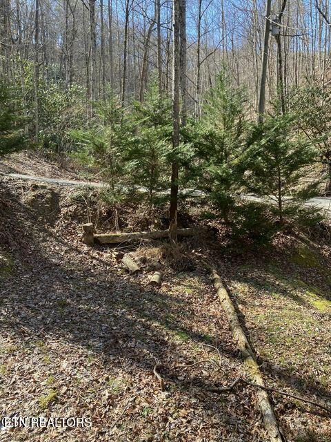 1823 Laurel Valley Way Sevierville, TN 37862 - Photo 21 of 24 022