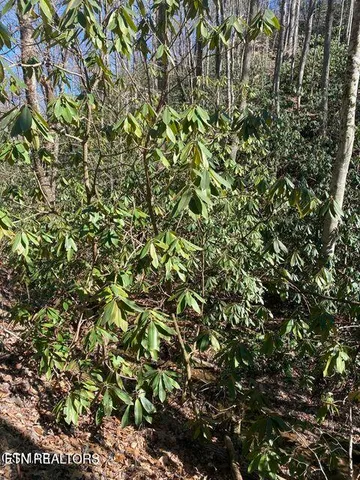 $399,900 | 1823 Laurel Valley Way, Sevierville, TN 37862