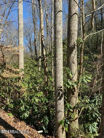 $399,900 | 1823 Laurel Valley Way, Sevierville, TN 37862