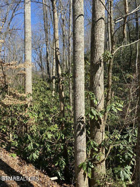 1823 Laurel Valley Way Sevierville, TN 37862 - Photo 24 of 24 025