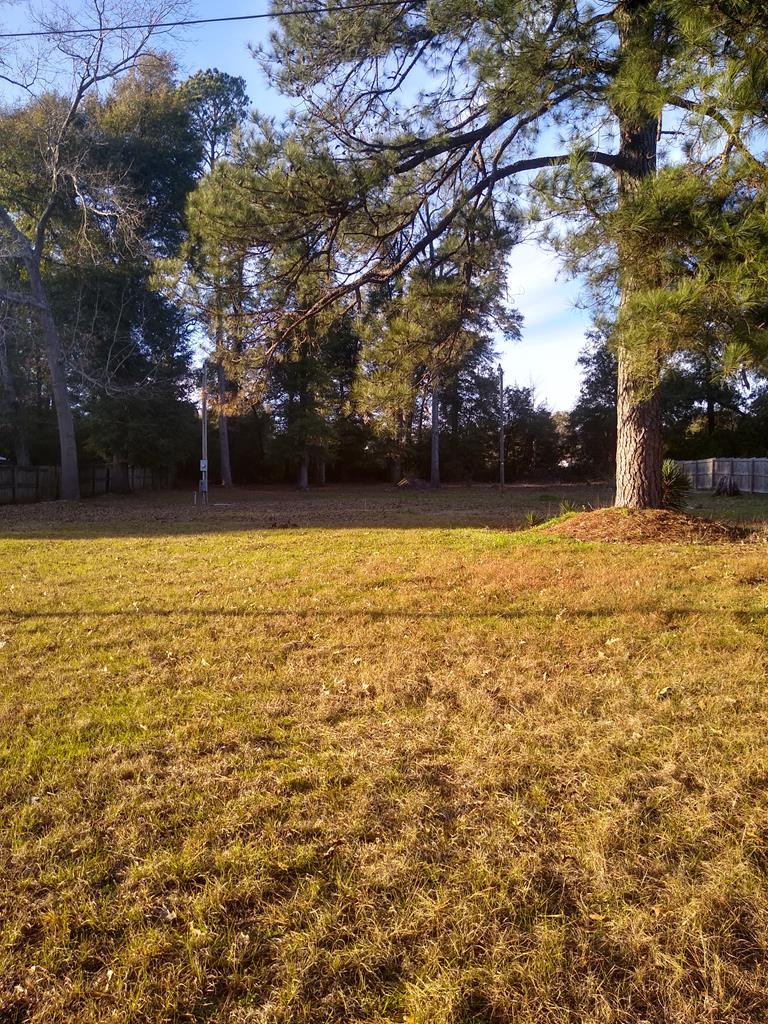 202 Rickenbaker Street Jackson, SC 29831 - Photo 1 of 2 Main View