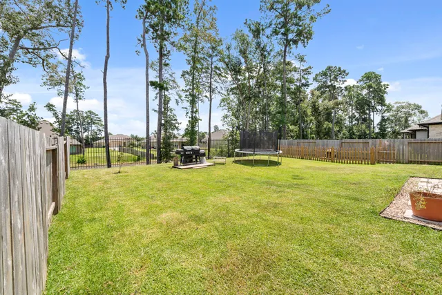 a view of a park with large trees