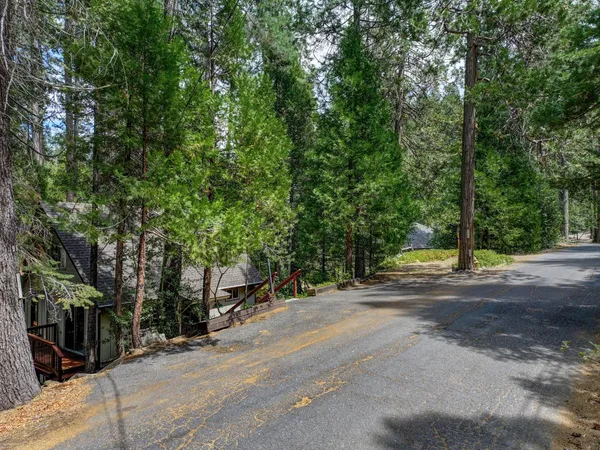 a view of road and trees