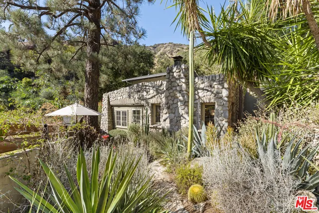 a view of a garden with plants