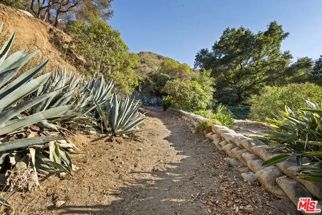 a view of a yard with plants and trees