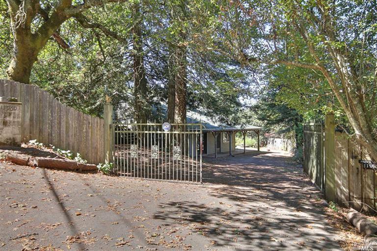 a view of a backyard with a large tree