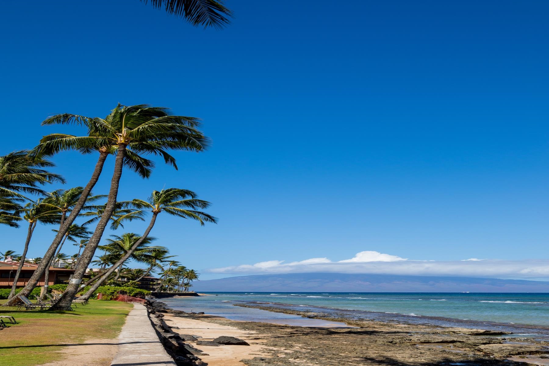 3601 Lower Honoapiilani Road, Unit 414 Lahaina, HI 96761 - Photo 23 of 28