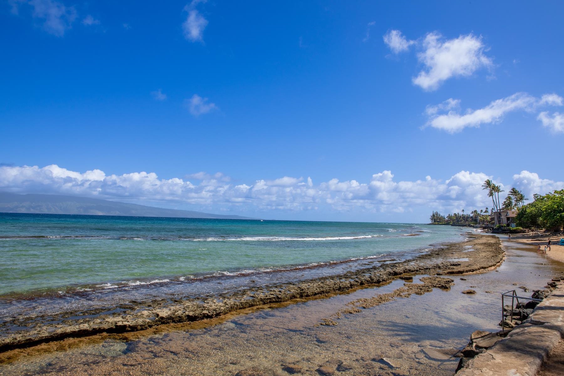 3601 Lower Honoapiilani Road, Unit 414 Lahaina, HI 96761 - Photo 25 of 28 a view of a big room with a big yard