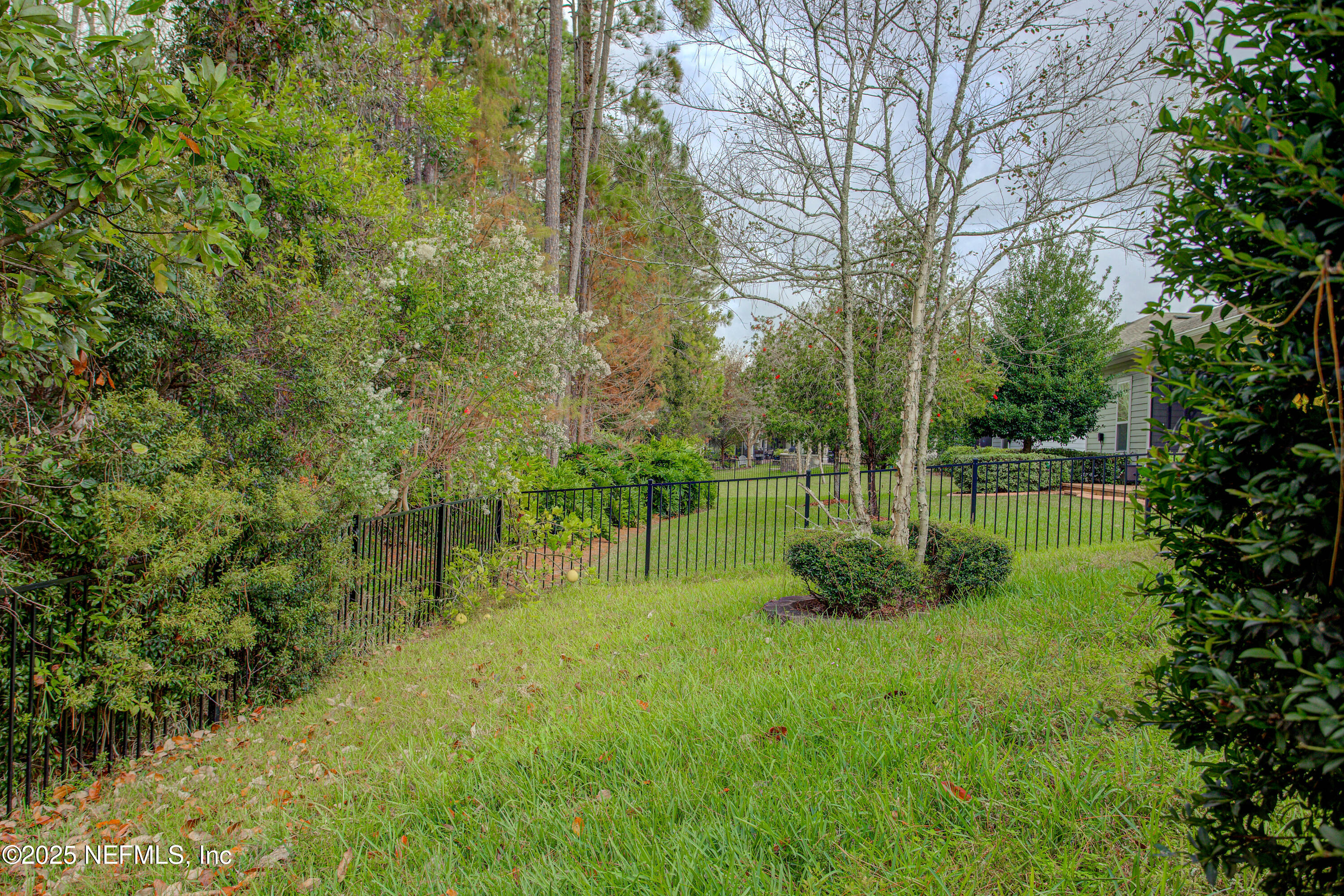 174 Antilles Road St. Augustine, FL 32092 - Photo 82 of 88 a view of a garden with a tree