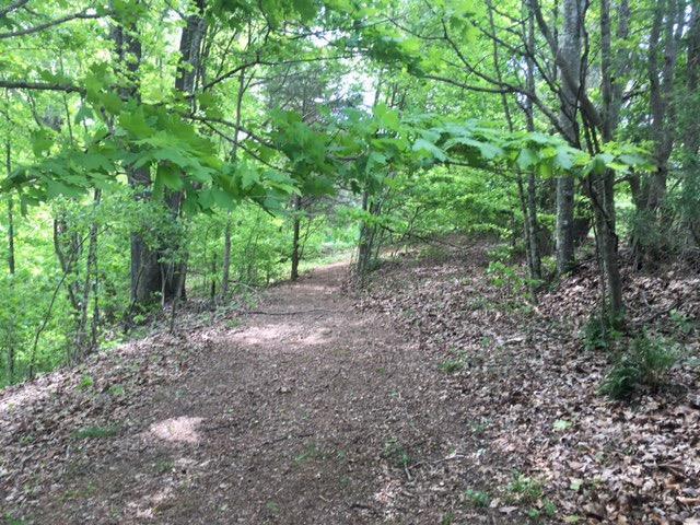 556 Fox Point Road Jamestown, KY 42629 - Photo 2 of 10 Additional Photo
