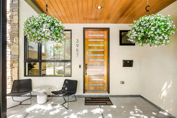 a living room with a couch and a potted plant