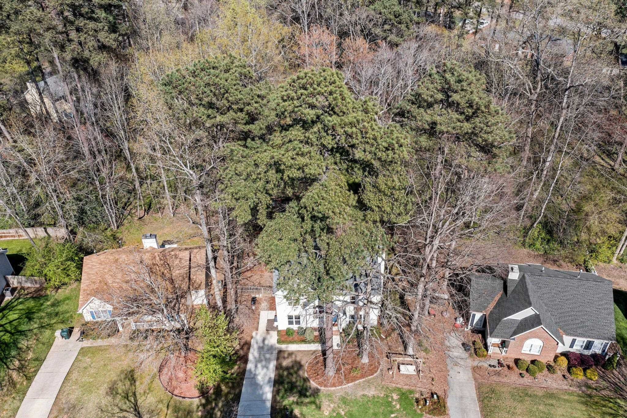 113 Bentpine Drive Raleigh, NC 27603 - Photo 37 of 39 Photo 37