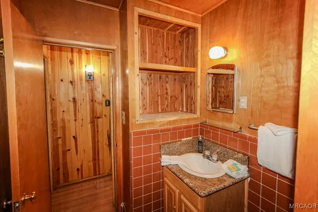 a bathroom with a sink and a mirror