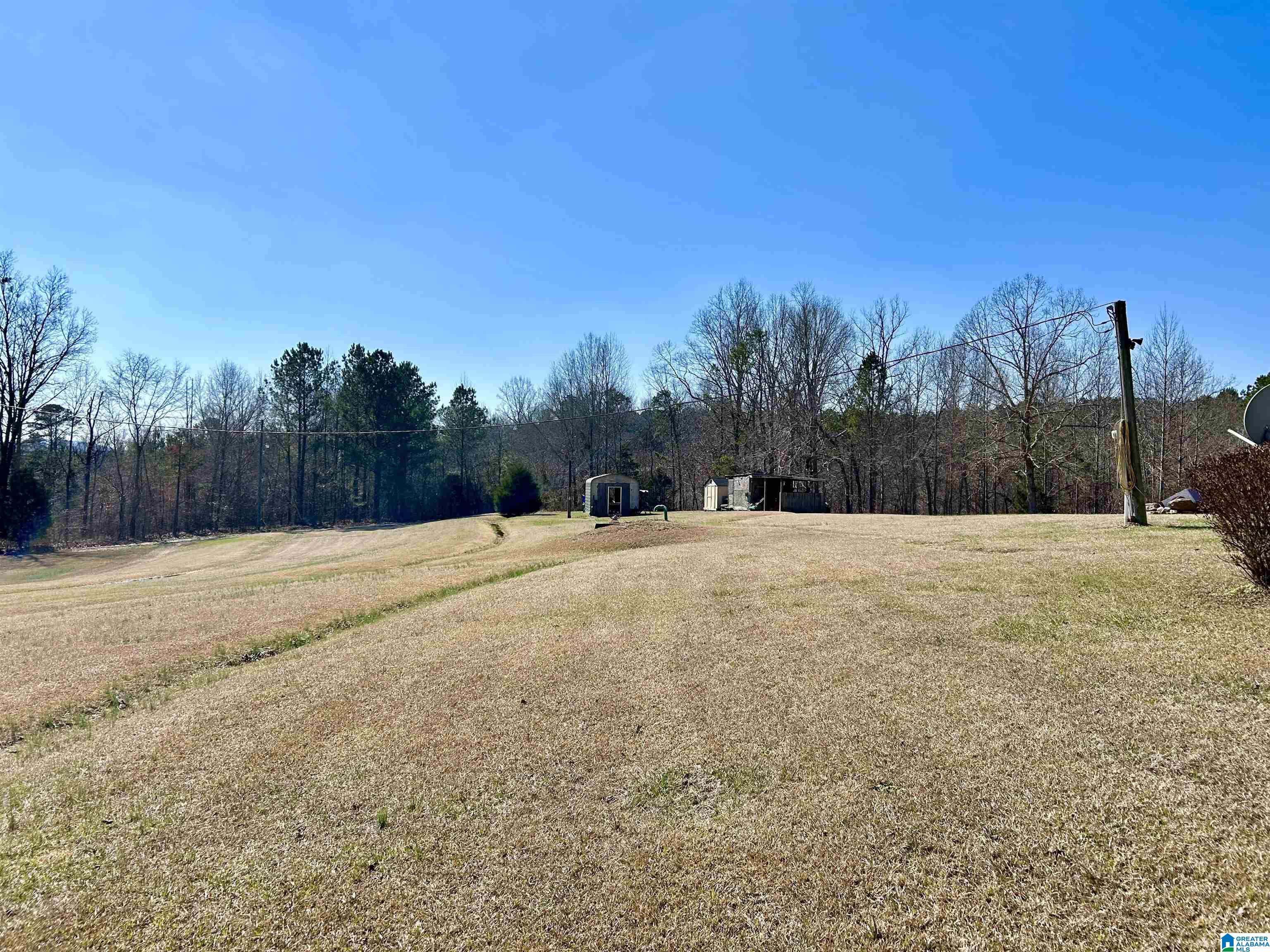 11004 Tabor Road Collinsville, AL 35961 - Photo 16 of 19