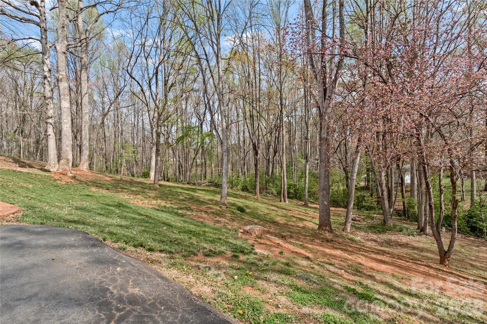 218 Misty Court King, NC 27021 - Photo 32 of 34
