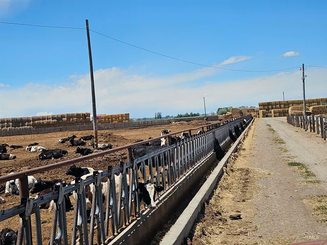 $1,290,000 | 200 South 585 Street, Heyburn, ID 83336