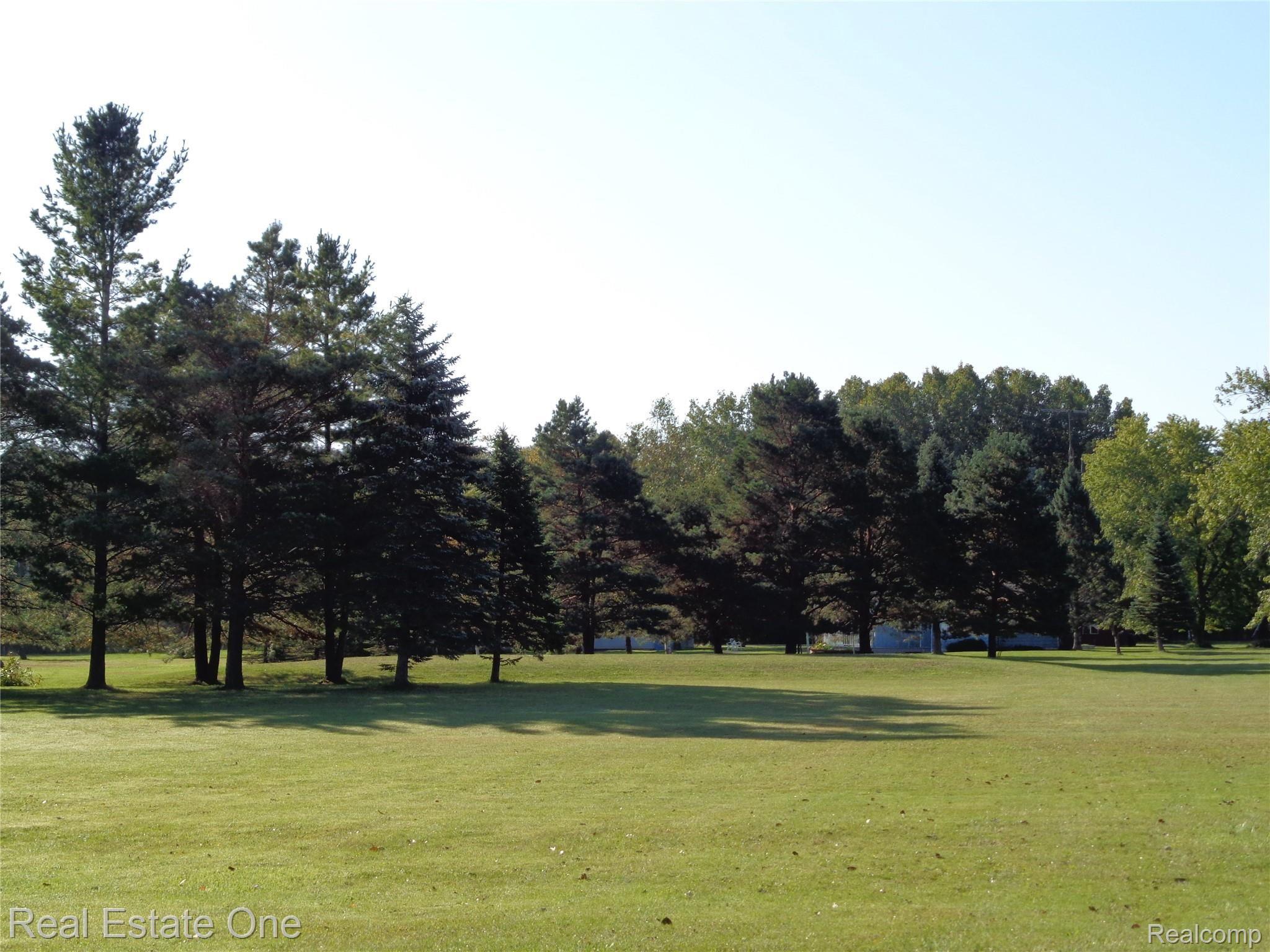 5960 Mills Road Deckerville, MI 48427 - Photo 67 of 79 View near street side of lot looking toward house, far in distance.