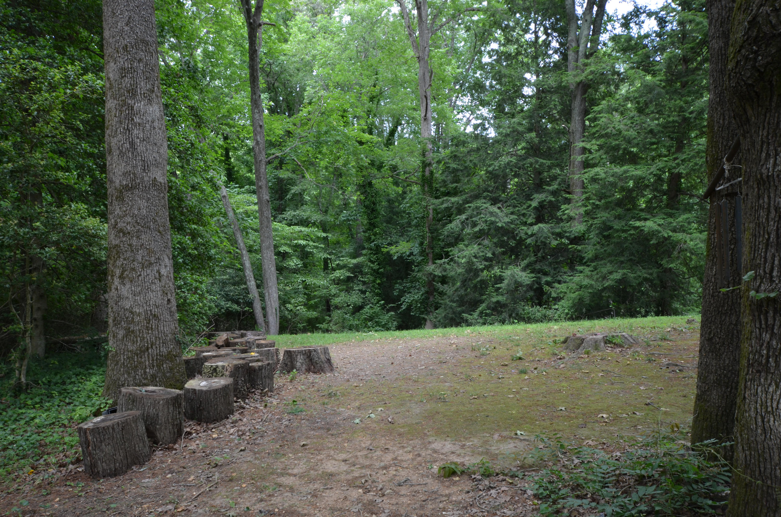 107 Marion Road Oak Ridge, TN 37830 - Photo 4 of 15 DSC_0595