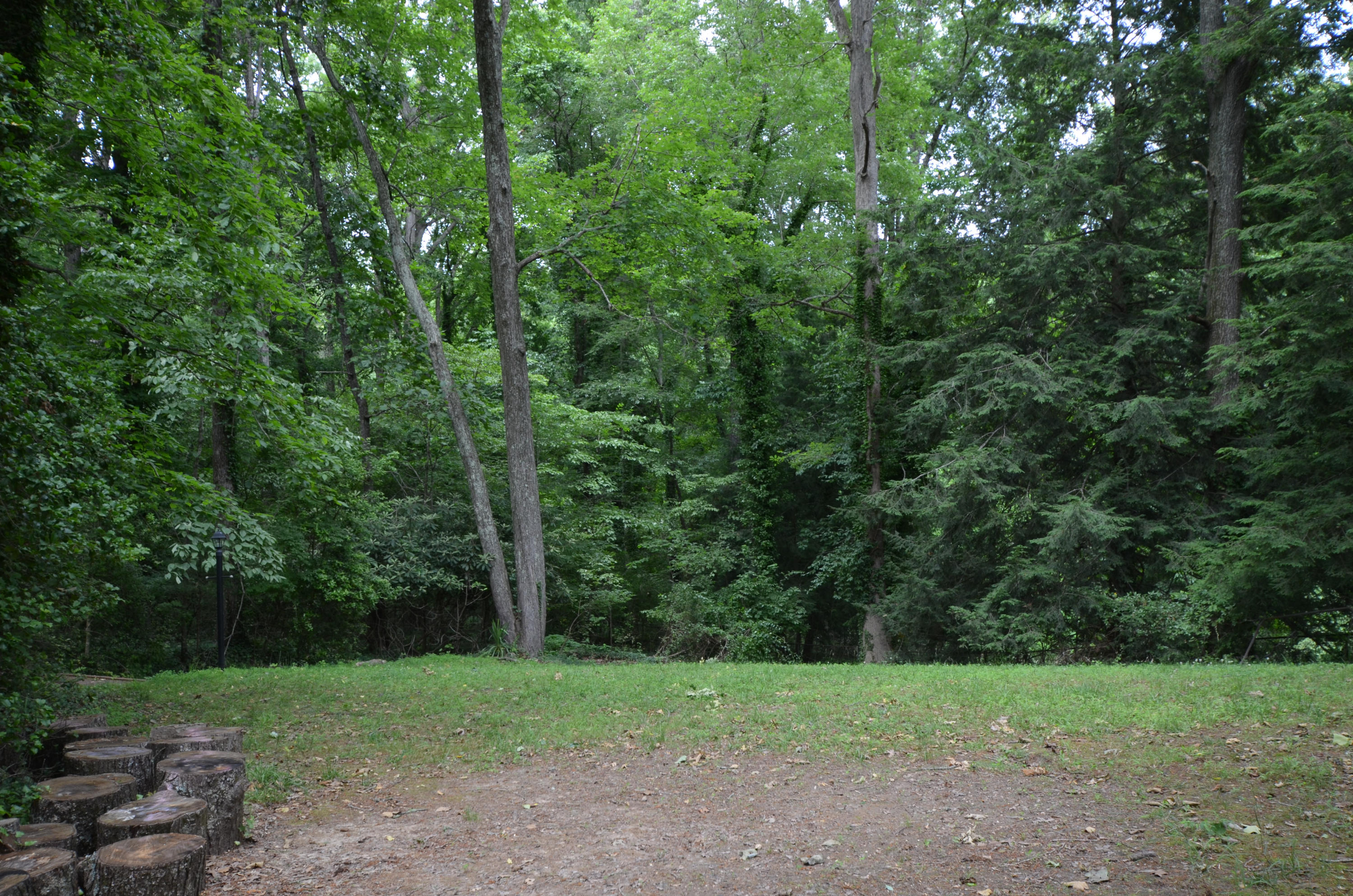 107 Marion Road Oak Ridge, TN 37830 - Photo 5 of 15 DSC_0596