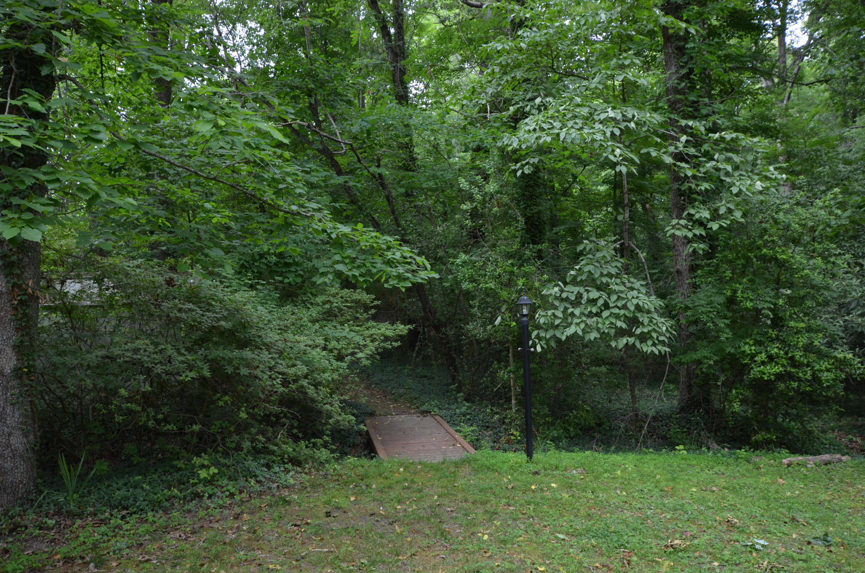 107 Marion Road Oak Ridge, TN 37830 - Photo 6 of 15 DSC_0597