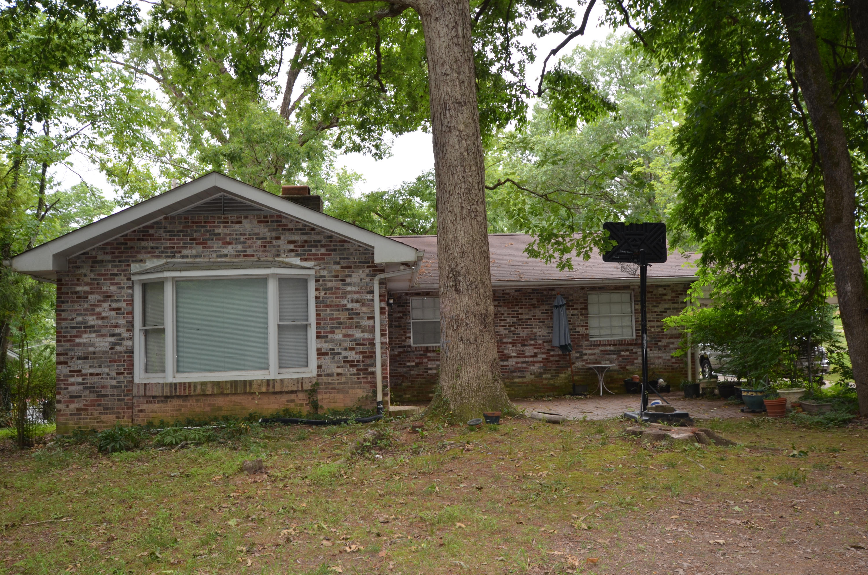 107 Marion Road Oak Ridge, TN 37830 - Photo 7 of 15 DSC_0598