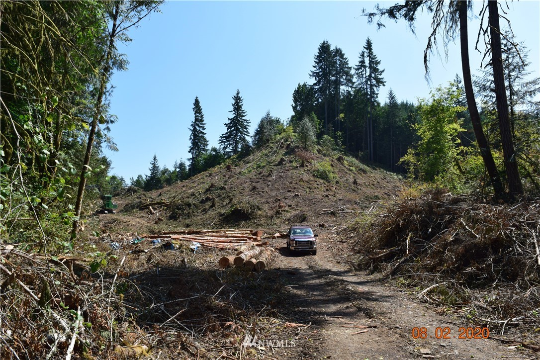 0 Bunker Road Chehalis, WA 98532 - Photo 2 of 8 Gallery Image 2