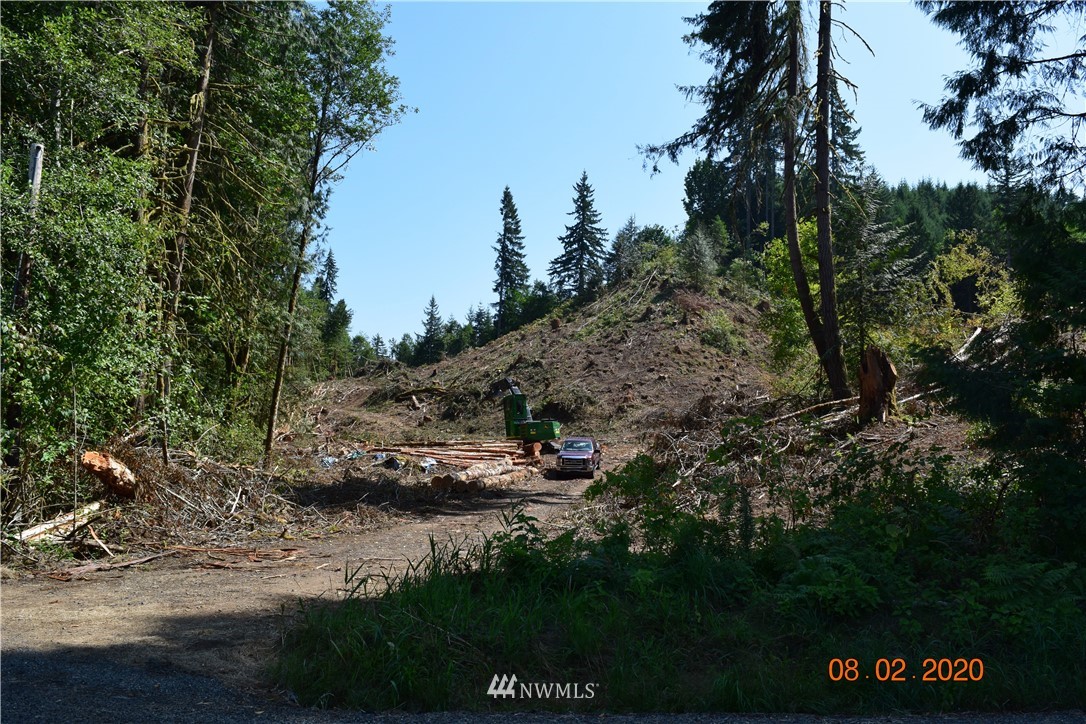 0 Bunker Road Chehalis, WA 98532 - Photo 7 of 8 Gallery Image 7