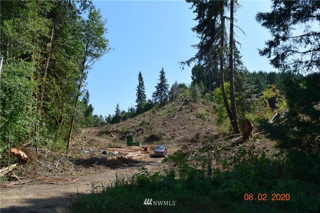 0 Bunker Road Chehalis, WA 98532 - Photo 8 of 8 Gallery Image 8