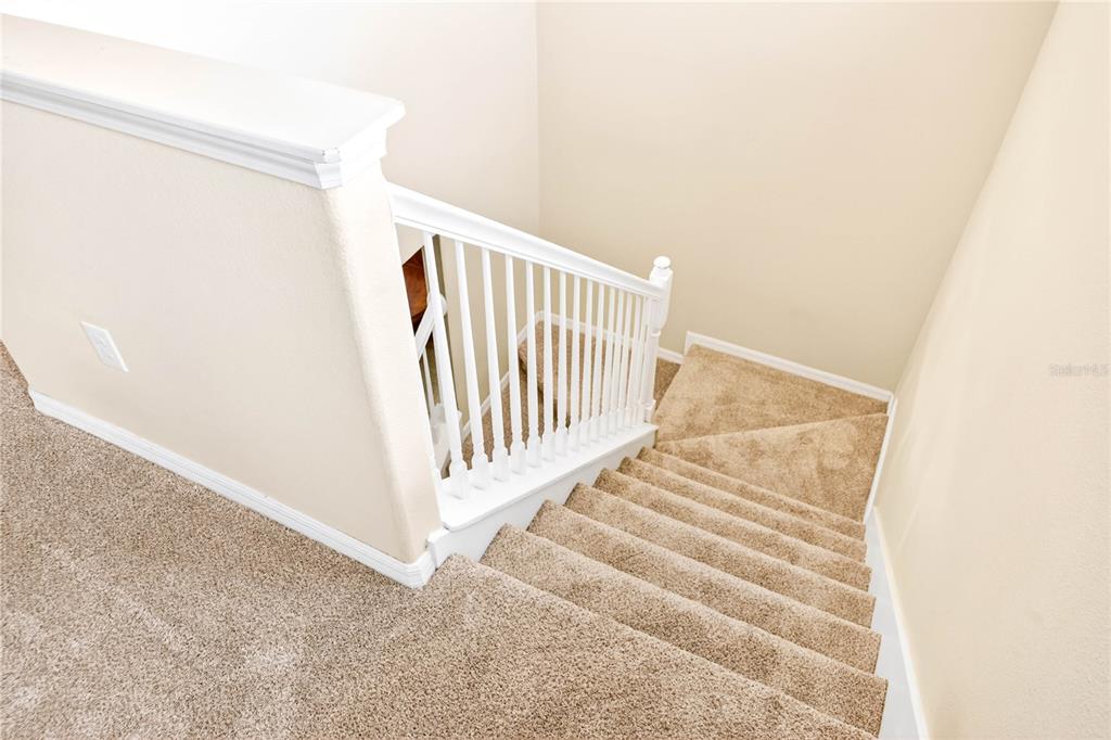 13415 White Sapphire Road Riverview, FL 33579 - Photo 70 of 96