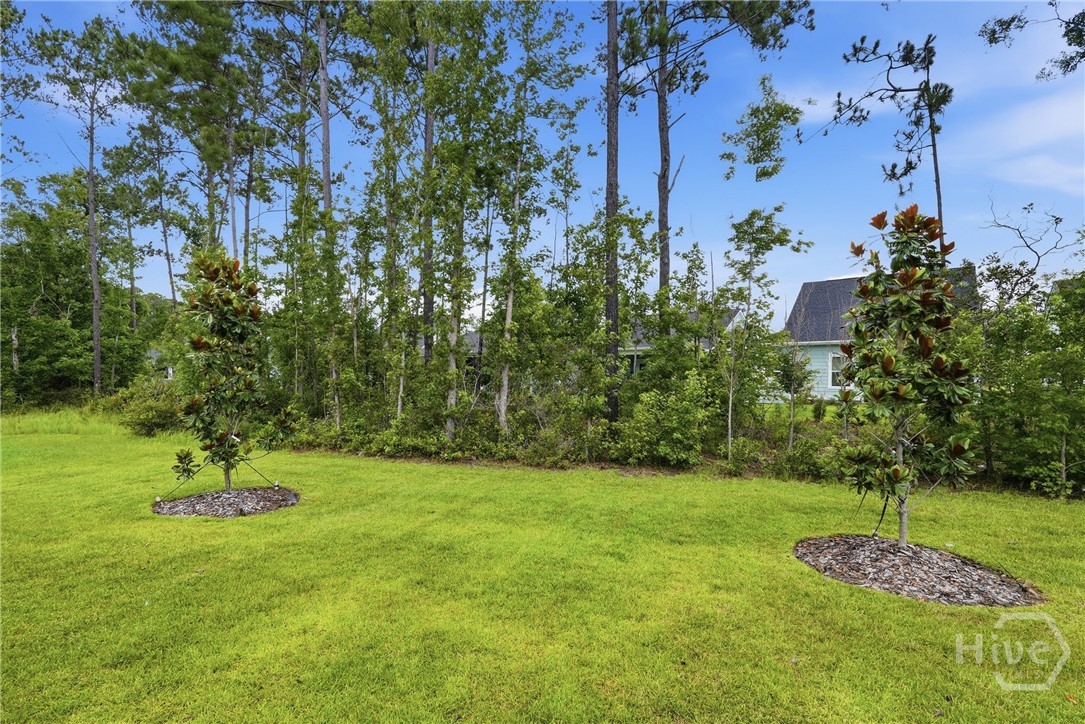 116 Binscombe Lane Pooler, GA 31322 - Photo 33 of 58