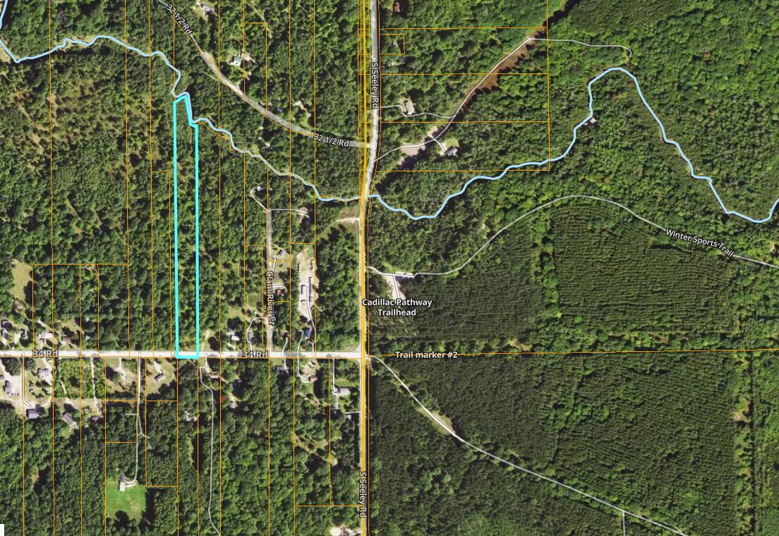 11771 East 34 Road Cadillac, MI 49601 - Photo 14 of 15 11771 E 34 Rd Aerial 2
