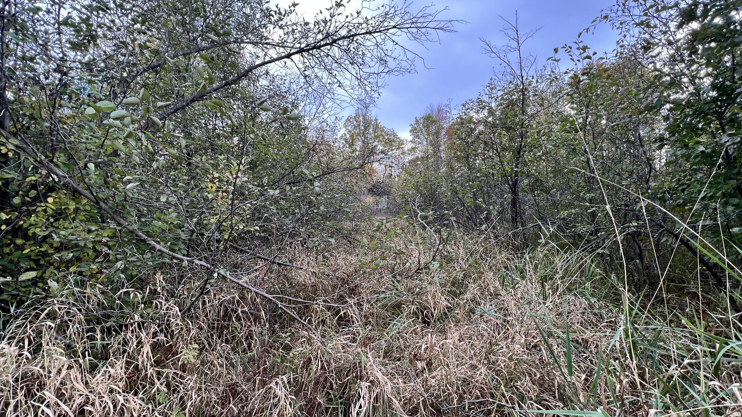 11771 East 34 Road Cadillac, MI 49601 - Photo 5 of 15 Greg Bosscher (17)