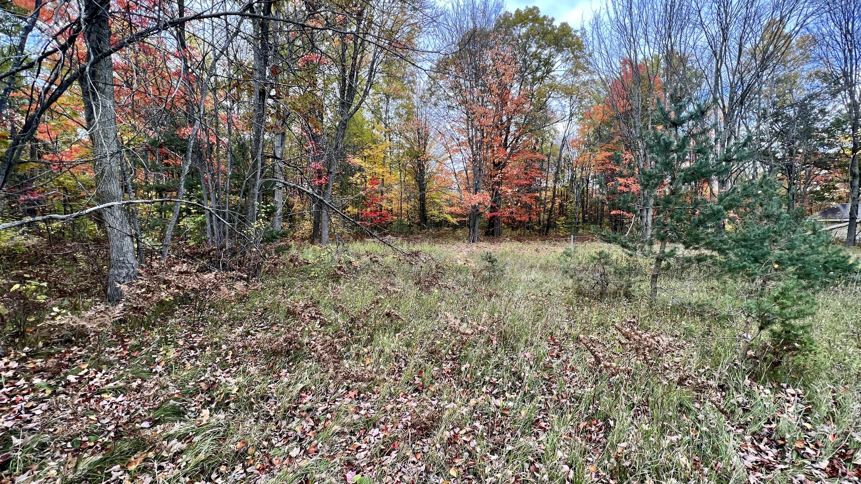 11771 East 34 Road Cadillac, MI 49601 - Photo 6 of 15 Greg Bosscher (1)