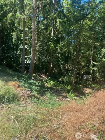 a view of outdoor space and green space