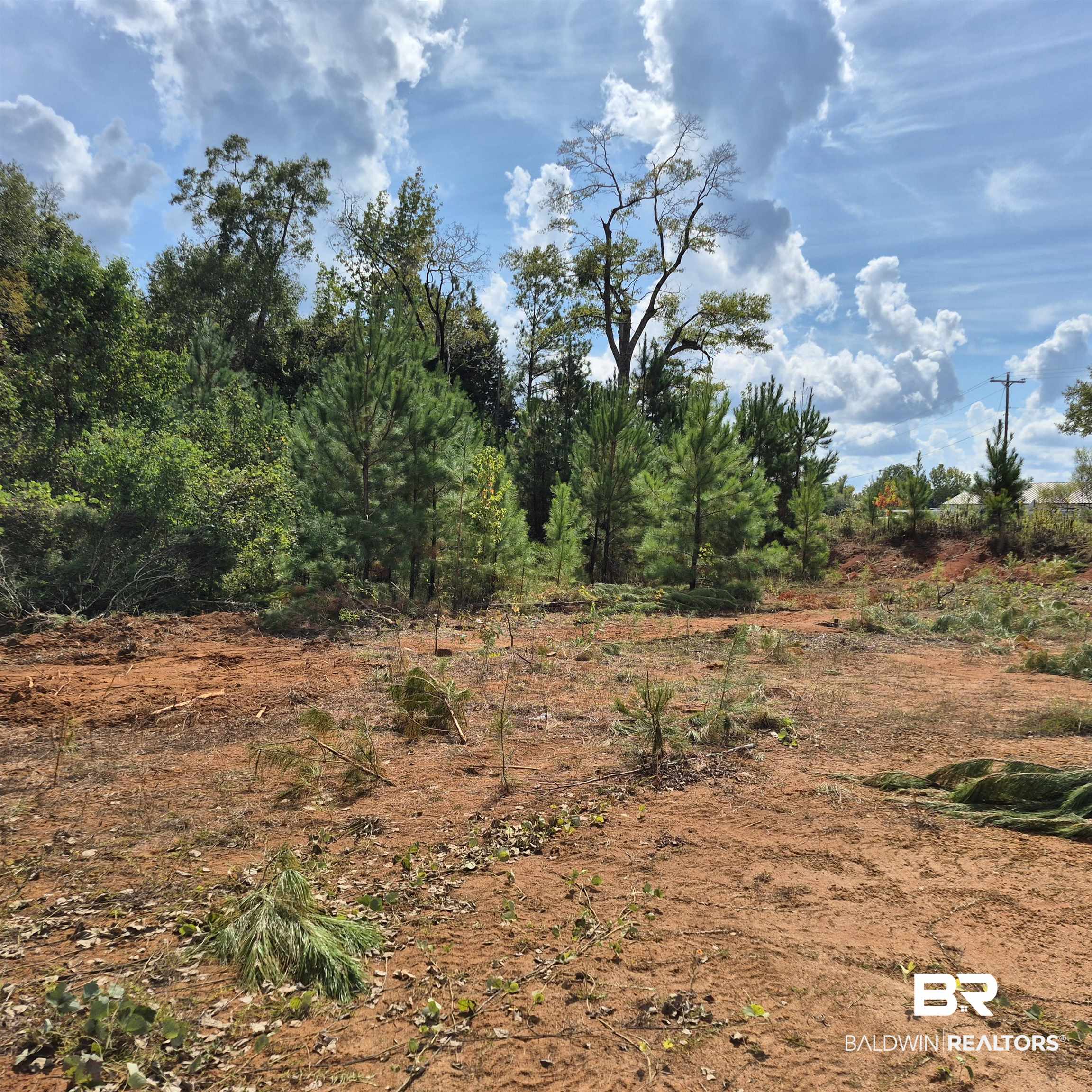 0 West Front Street Evergreen, AL 36401 - Photo 3 of 6 View of nature