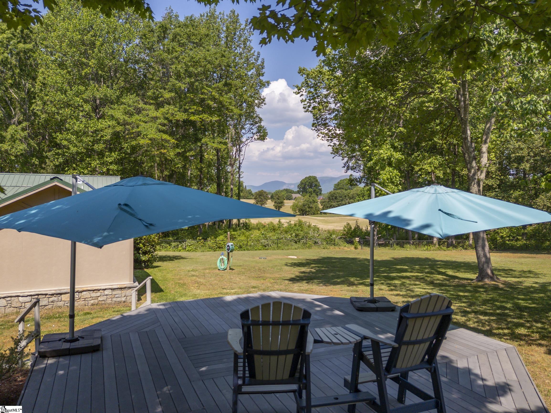 183-185 Rubin Thorne Road Campobello, SC 29322 - Photo 22 of 40