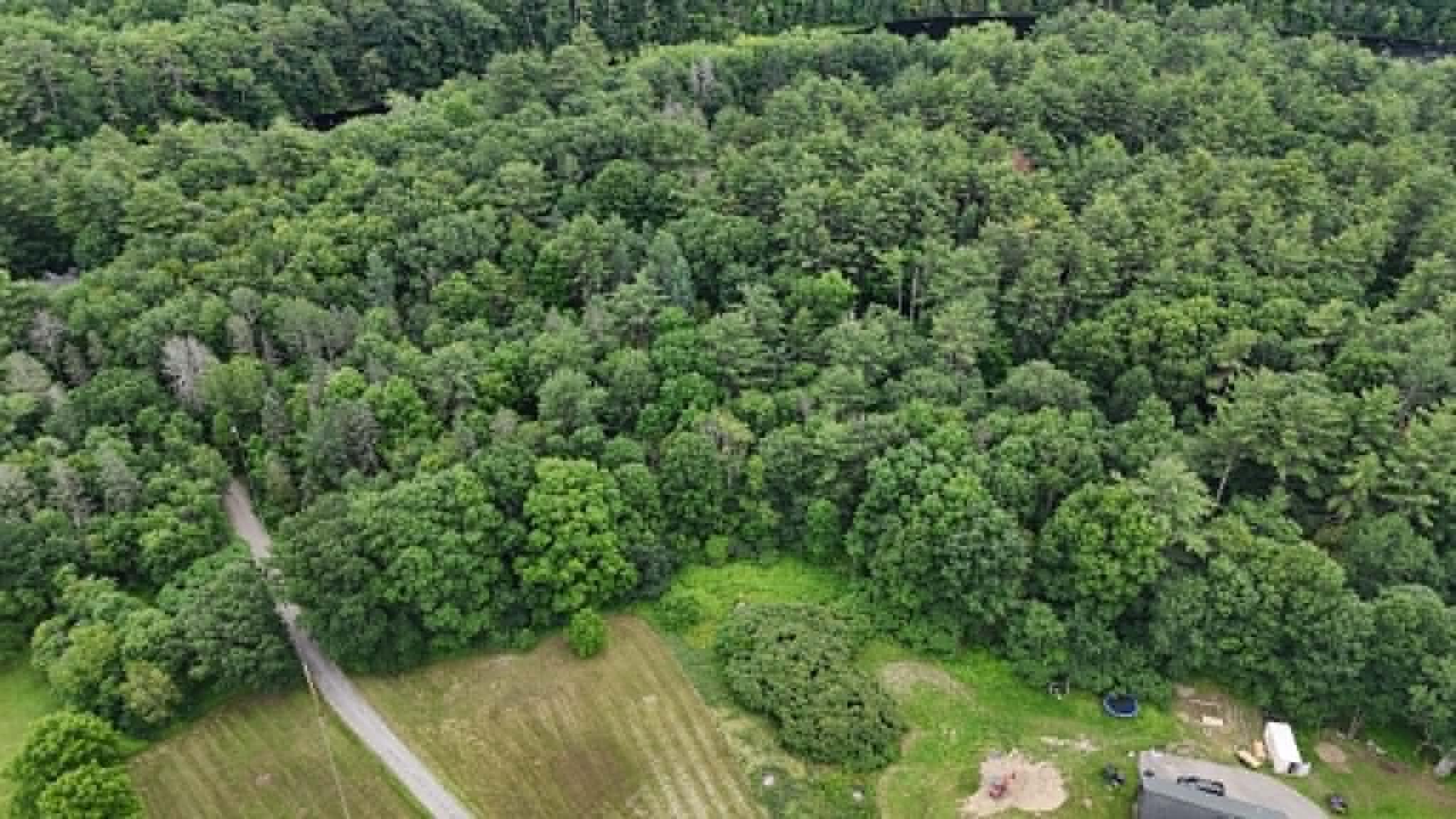 Lot 44 Bangor Road Waterville, ME 04901 - Photo 10 of 26 1f107fce-5950-44a3-9c21-4837e56826cc