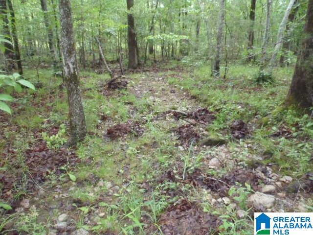 0 Shocco Springs Road, Unit 40 5 AC Talladega, AL 35160 - Photo 26 of 30