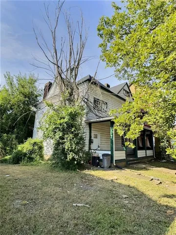 a view of a yard with plants and large trees
