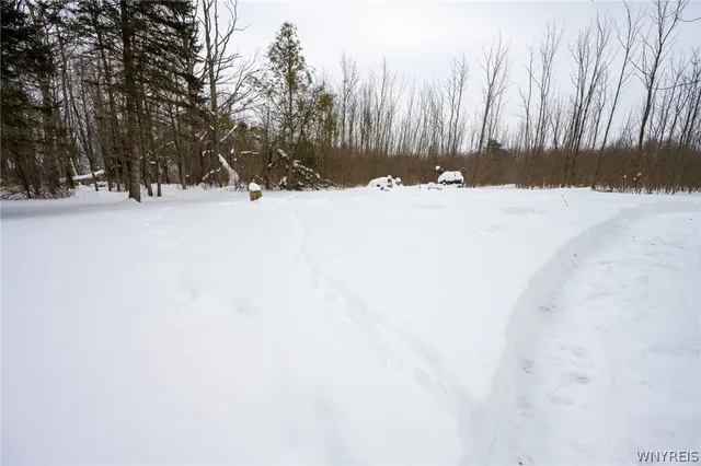 $159,900 | 4406 Telegraph Road, Pike, NY 14024