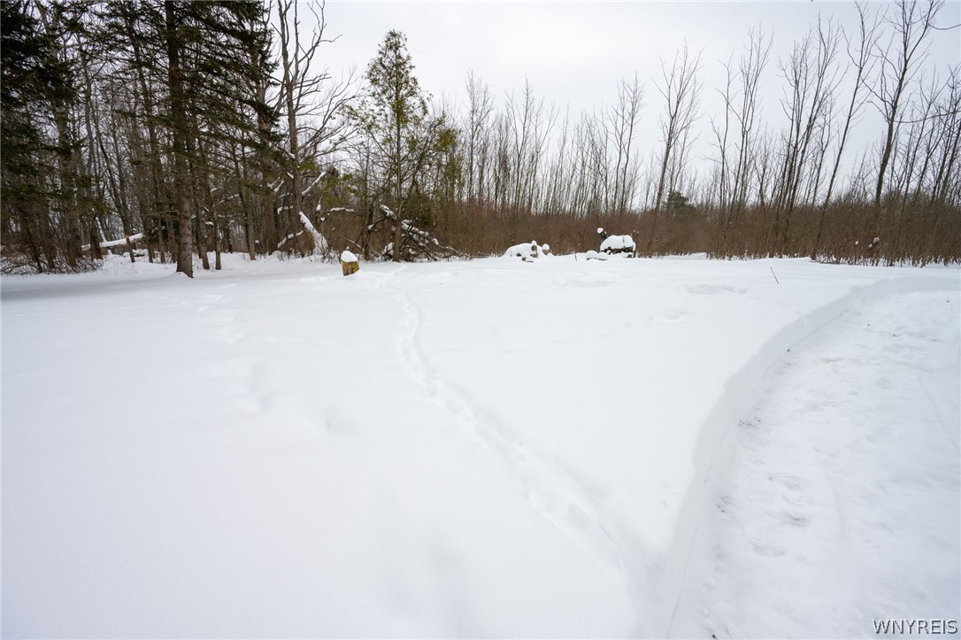 4406 Telegraph Road Pike, NY 14024 - Photo 19 of 23